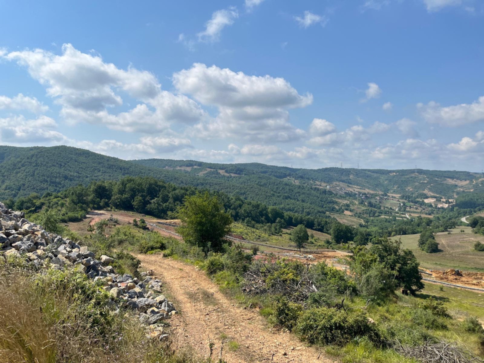 Güncel Foto
